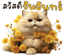 สติกเกอร์ 612409990