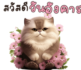 สติกเกอร์ 612409991