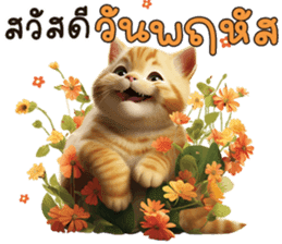 สติกเกอร์ 612409993