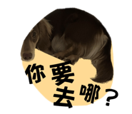 612430170