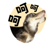 612430177