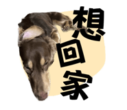 612430179