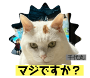 612439300
