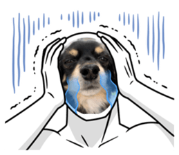 612441245