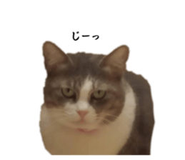 612457811