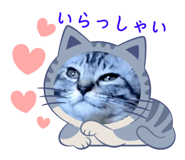 612488409