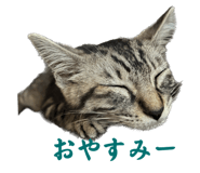 612488425