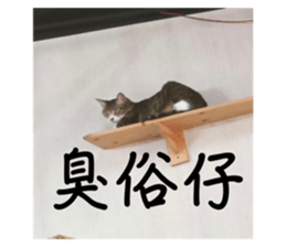 612497661