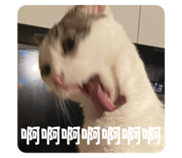 612509750