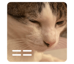 612509757