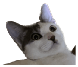 612588991
