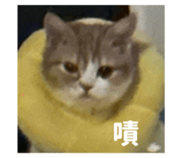 612628375