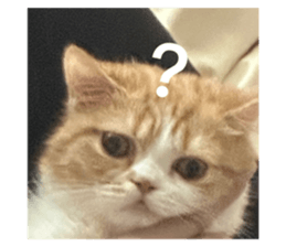 612628376