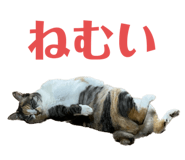612651363