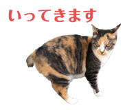 612651368