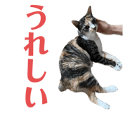 612651369