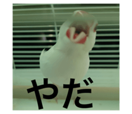 612660180
