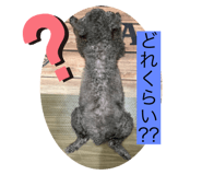 612747400