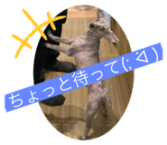 612747401
