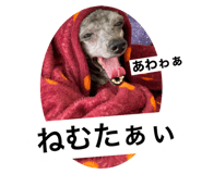 612747404