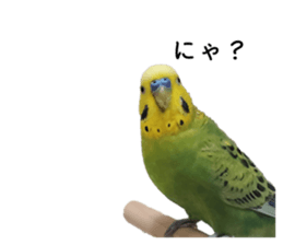 612769255
