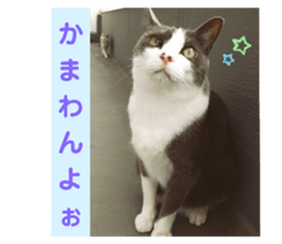 612769980