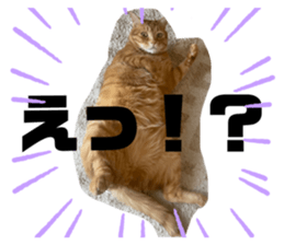 612778193
