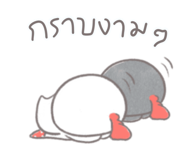 ไก่กุ๊กดุ๊กดิ๊ก รูปที่ 21