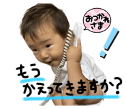 612845955