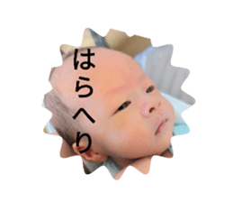612846351