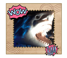 612866549