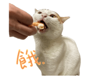612894983