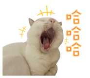612895002