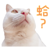 612895003