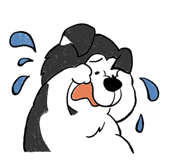 612967917