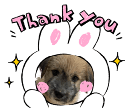 612984030