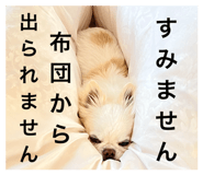613071604