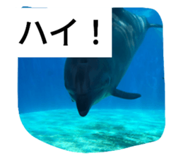 613106672