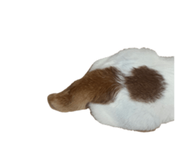 613133488