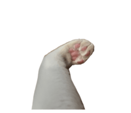 613133515