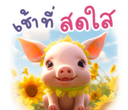 สติกเกอร์ 613163248