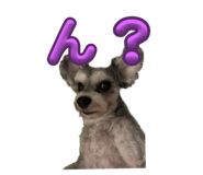 613175789