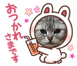 613283067
