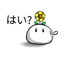 613332567
