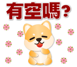 613334505