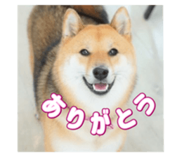 613334568