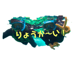 613342341