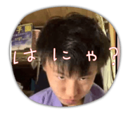 613353704