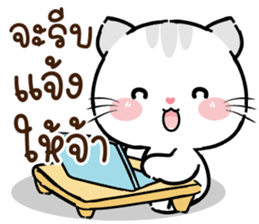 สติกเกอร์ 613361978