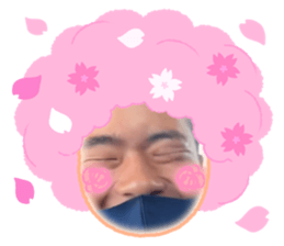 613375349